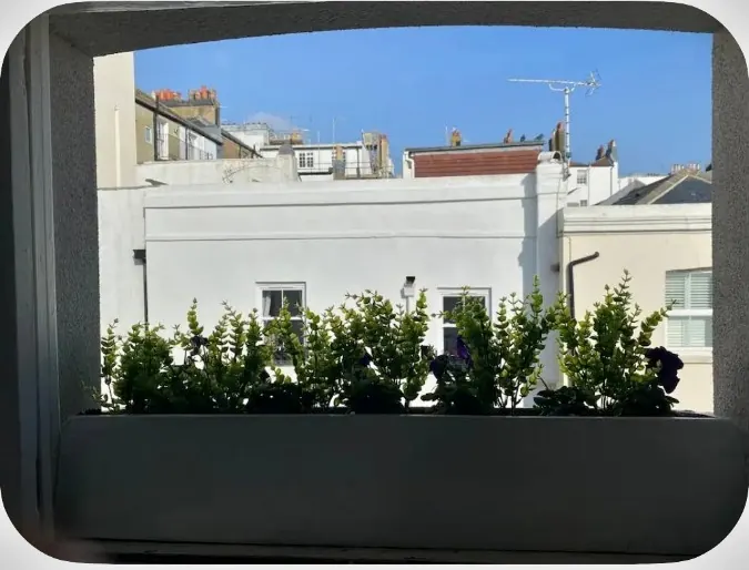 Rooftops with the sea beyond